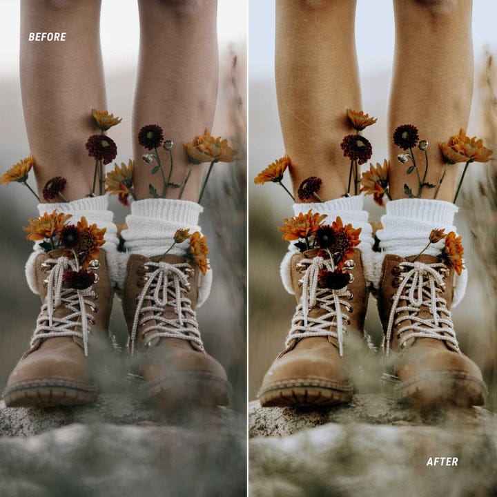 Earth Tones Color LUTs