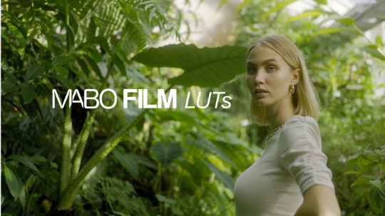 LUTs Rec 709 For All cameras
