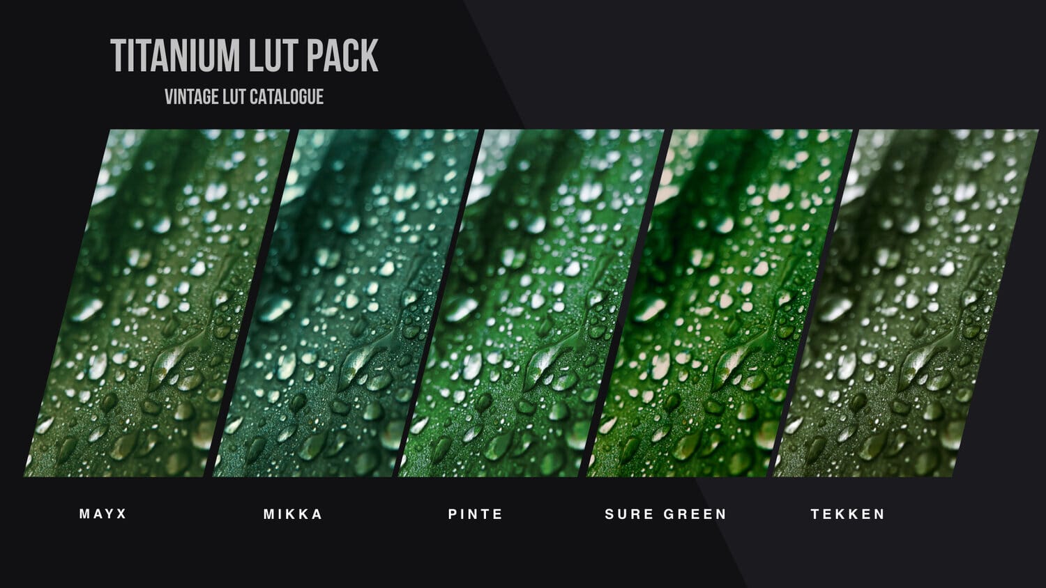 Titanium LUT Pack