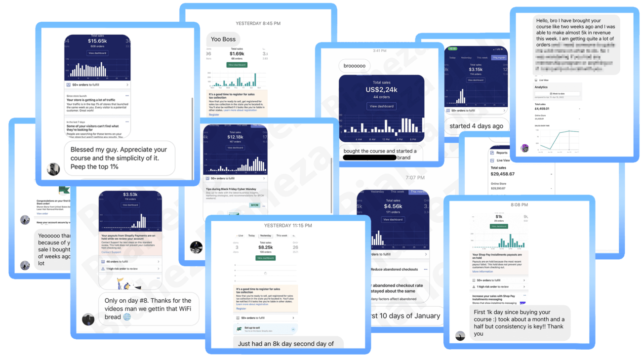 Biaheza Full Dropshipping Course 2024
