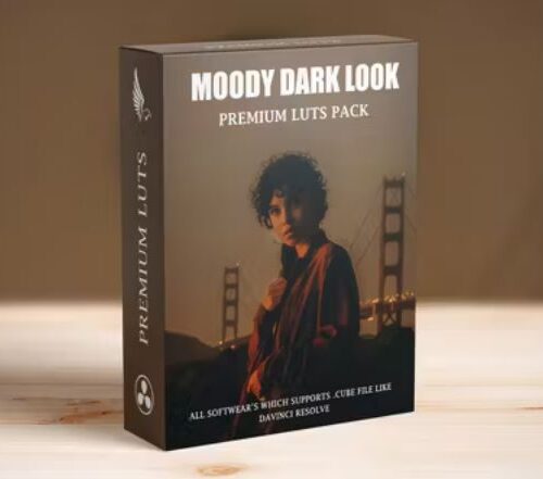 Dark Aesthetic Urban Moody Landscape Film Look Cinematic LUTs