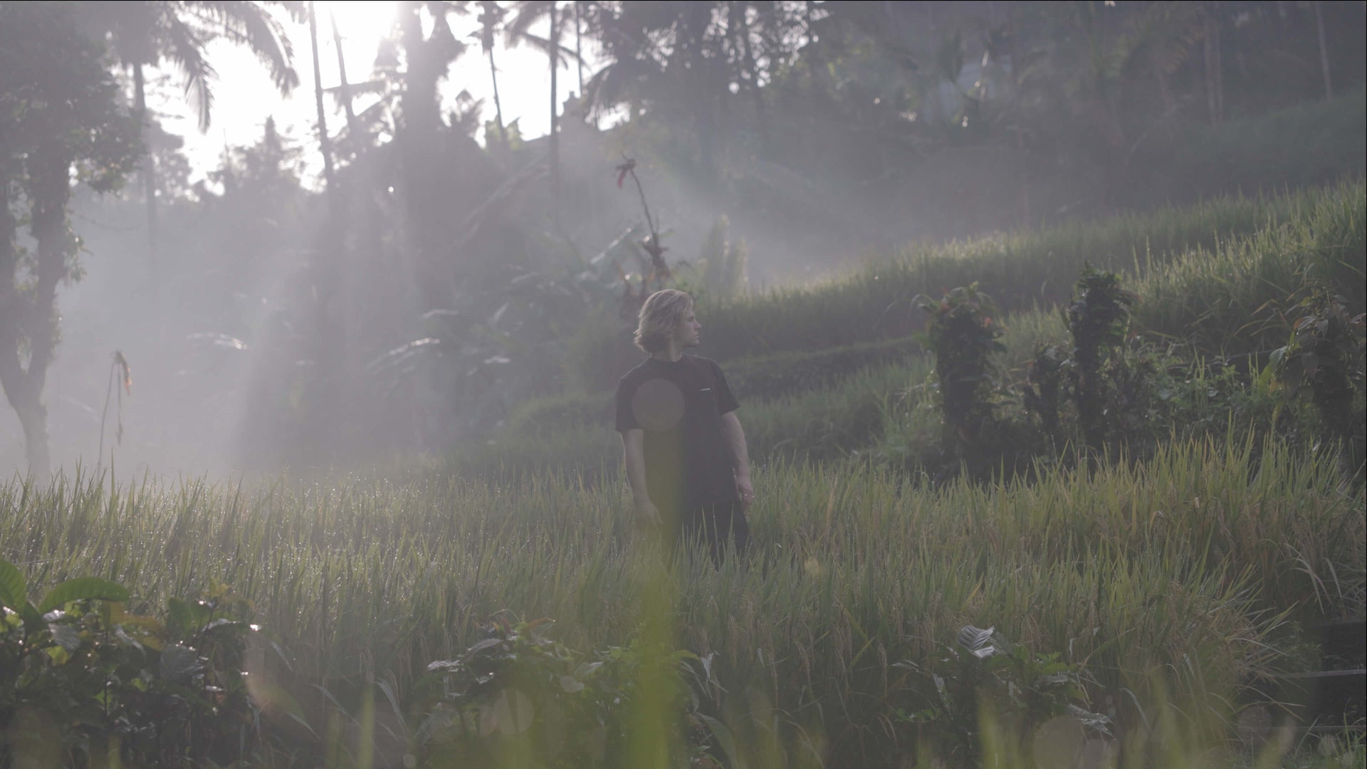 Cinematic Video LUTS By Watzac