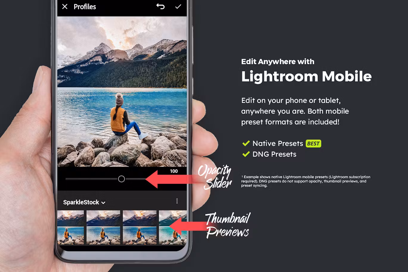 20 Wilderness Lightroom Presets and LUTs