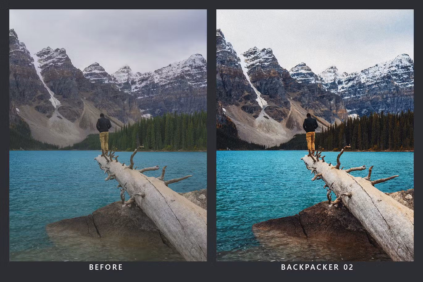20 Wilderness Lightroom Presets and LUTs
