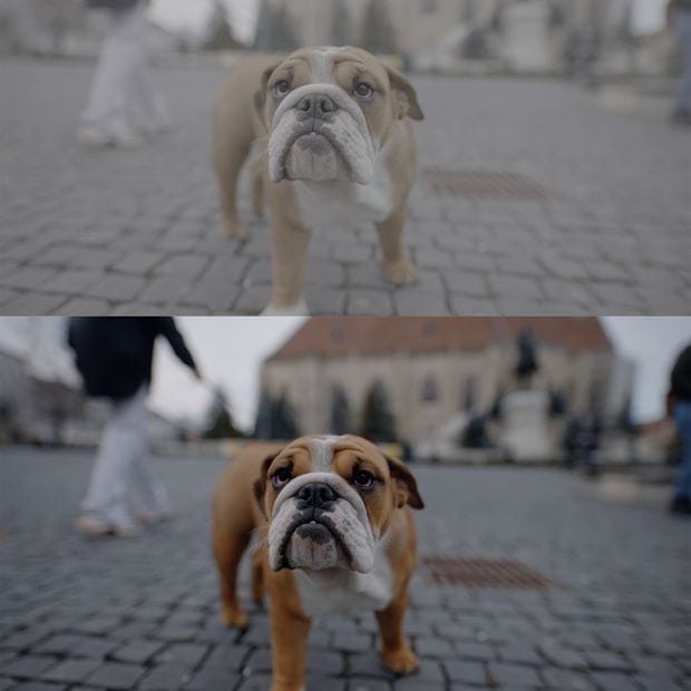 SONY SLOG 3 LUTS SKINTONE EDITION