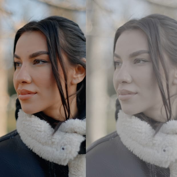 SONY SLOG 3 LUTS SKINTONE EDITION