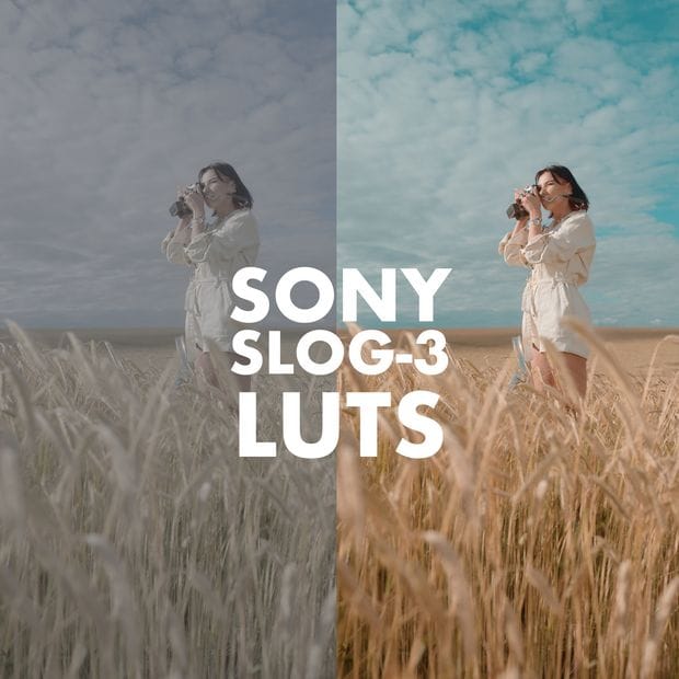 SONY SLOG 3 LUTS SKINTONE EDITION