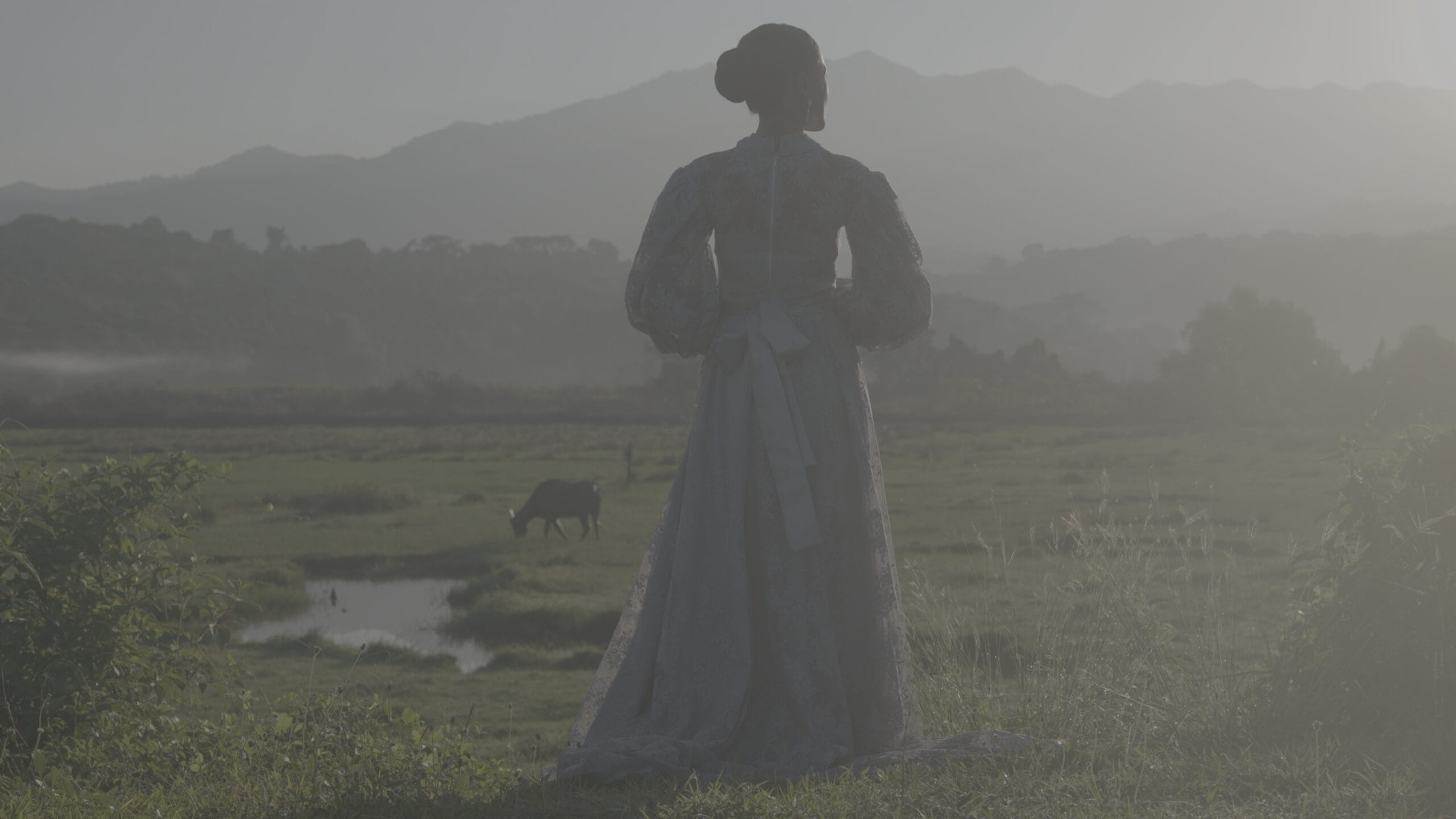 Kodak 2383 Inspired Cinematic LUTs