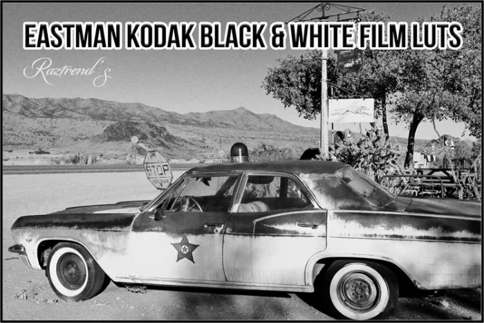 Eastman Kodak Black and White Films LUTs