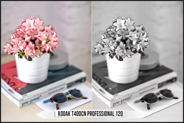 Eastman Kodak Black and White Films LUTs