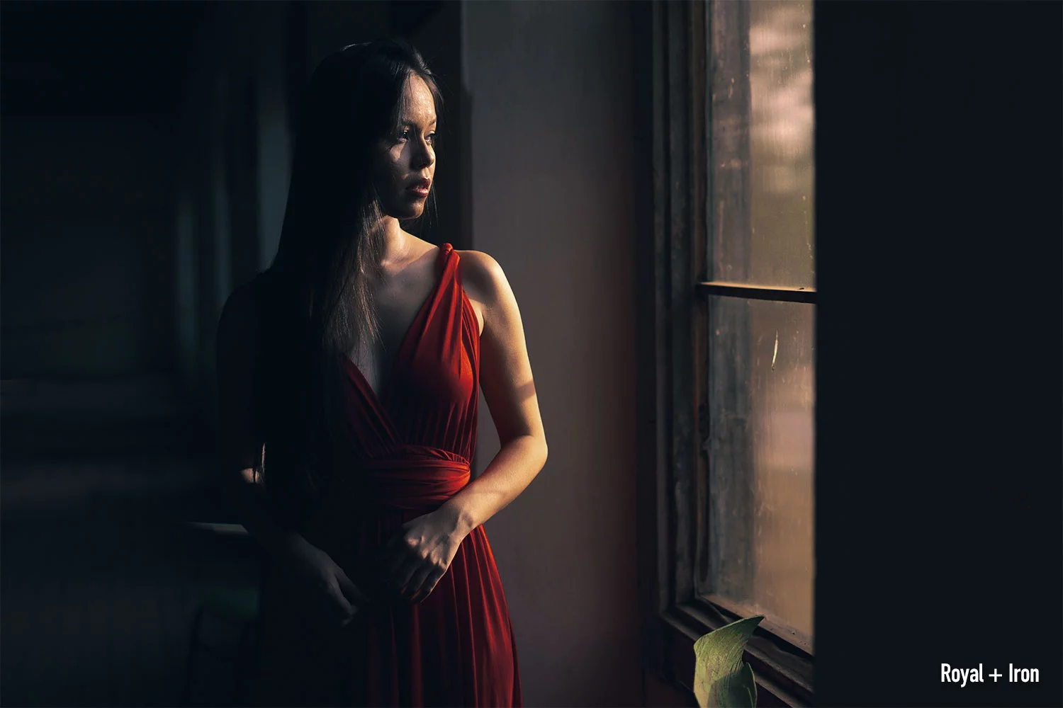 Fine Portraits LUTs
