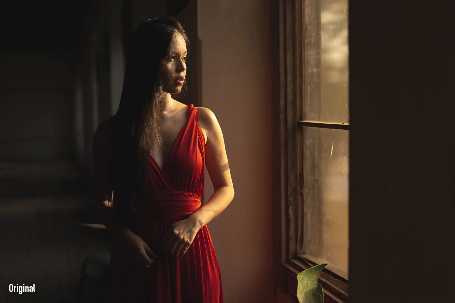 Fine Portraits LUTs