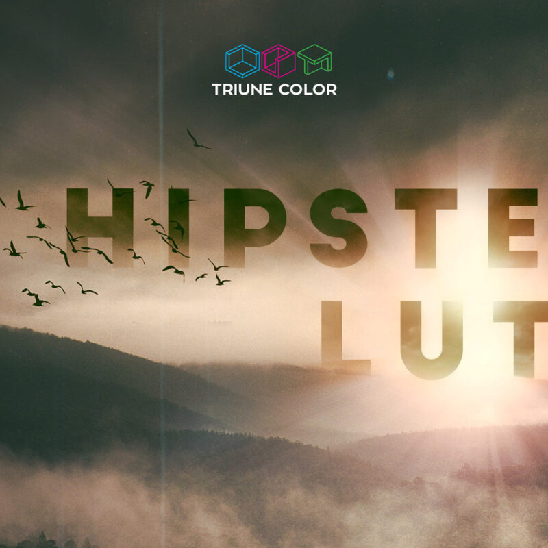 Hipster LUTs