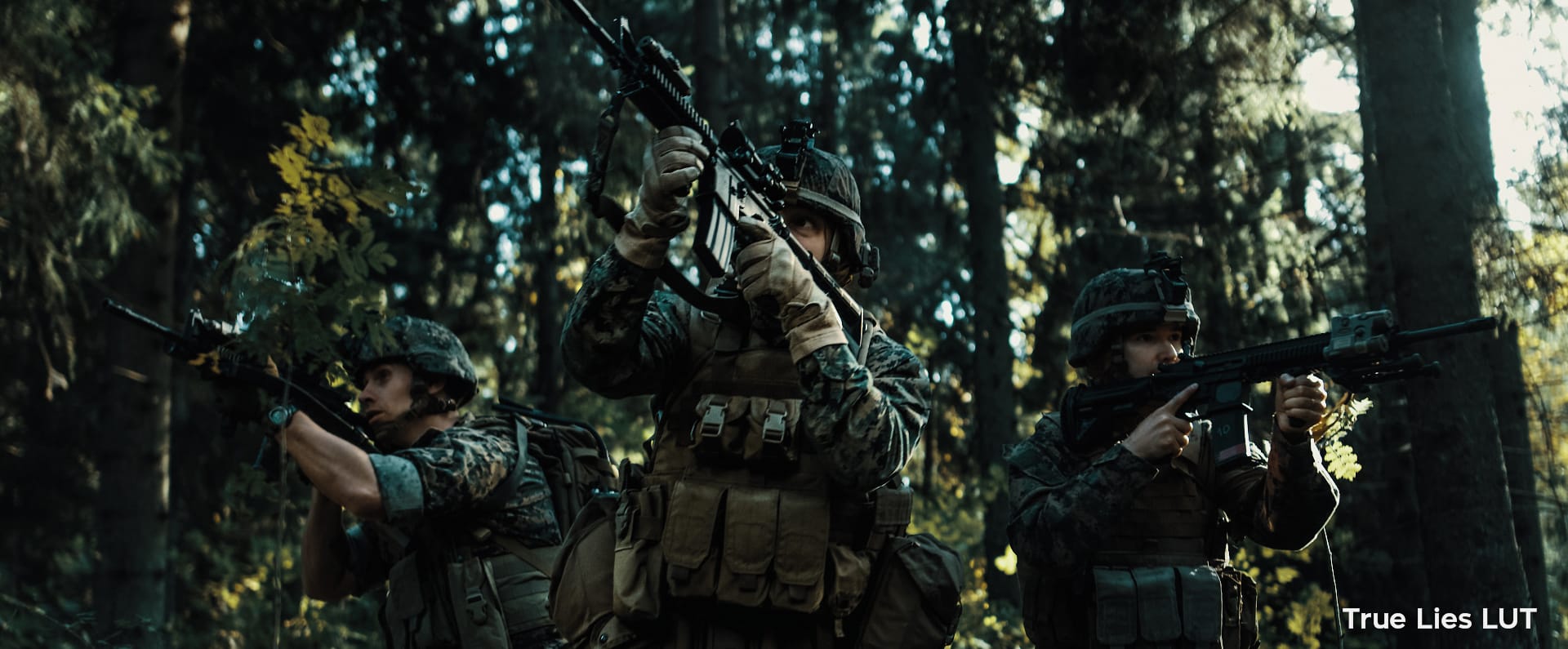 Action Film LUTs