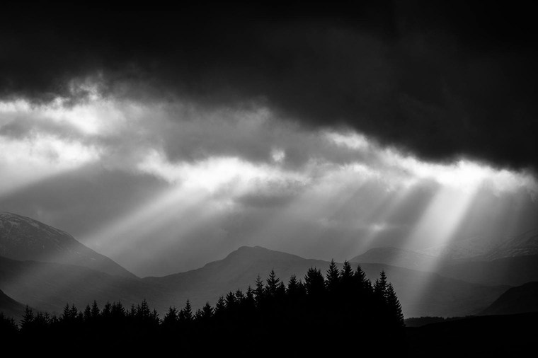 Master Collection 3 Capture One Style packs