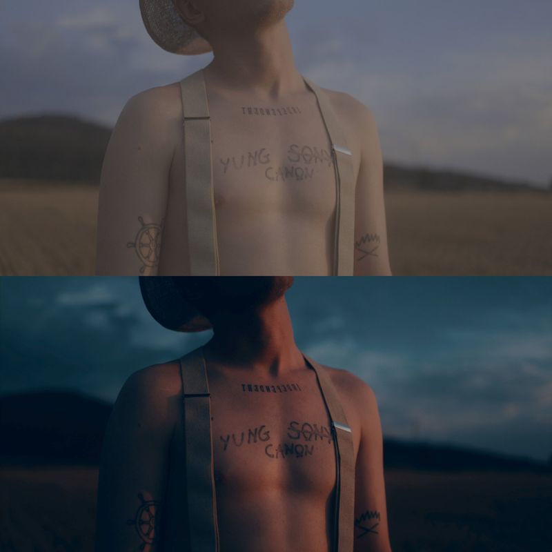 Canon R5 R6 Cinematic LUTs