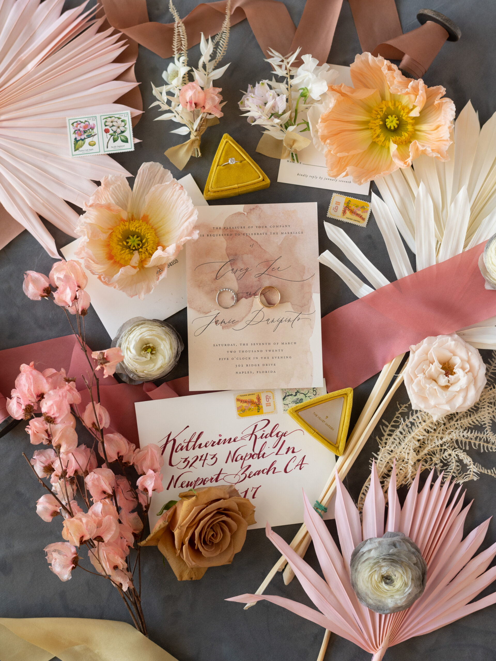 Goodlight Pack 3 Color