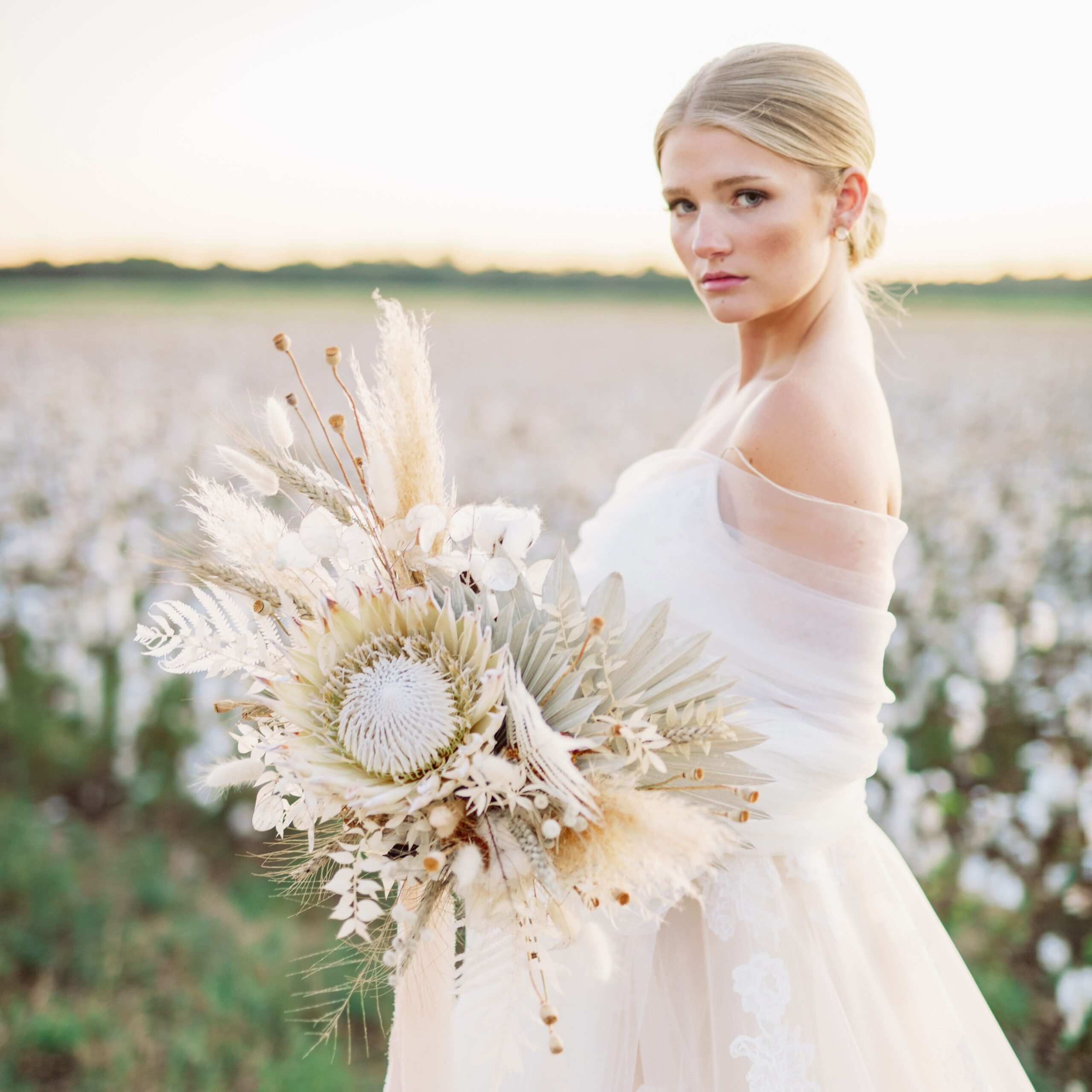 Goodlight Pack 3 Color