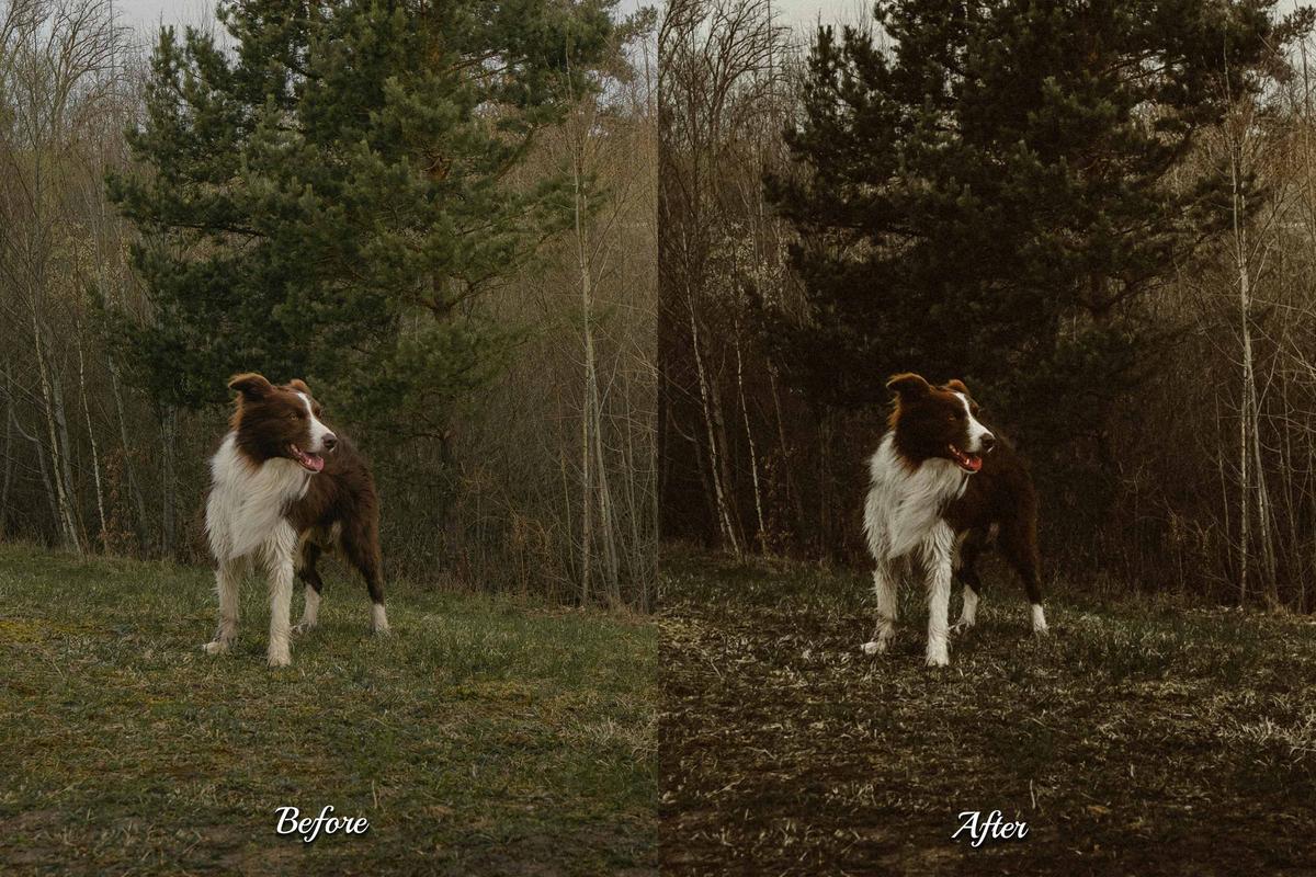 30 Old Days LUT Collection