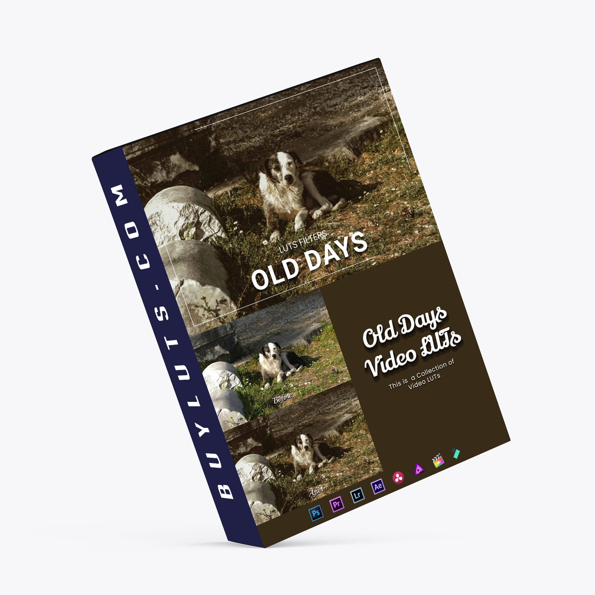 30 Old Days LUT Collection