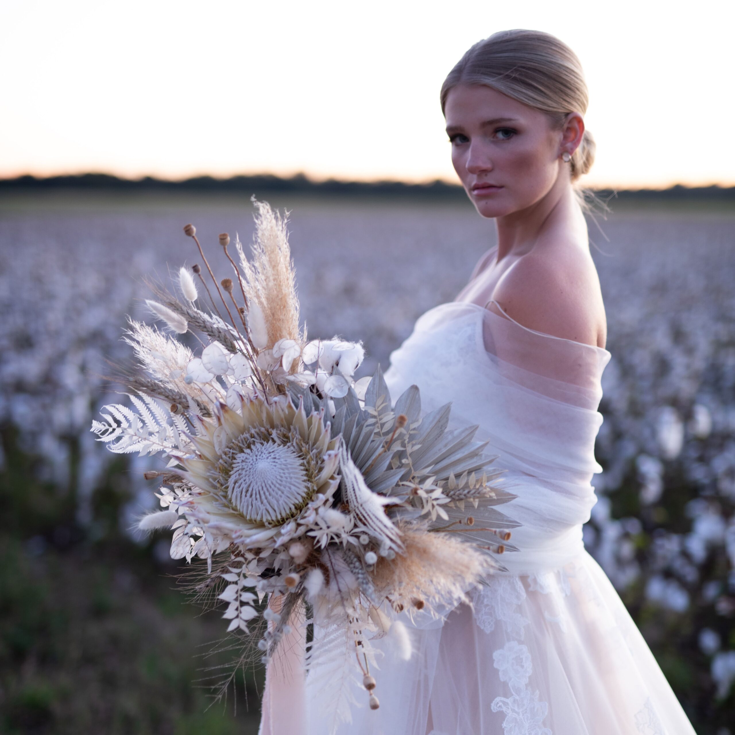 Goodlight Pack 3 Color