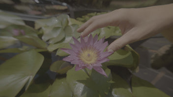 Filmkid 16 Powergrade and LUT