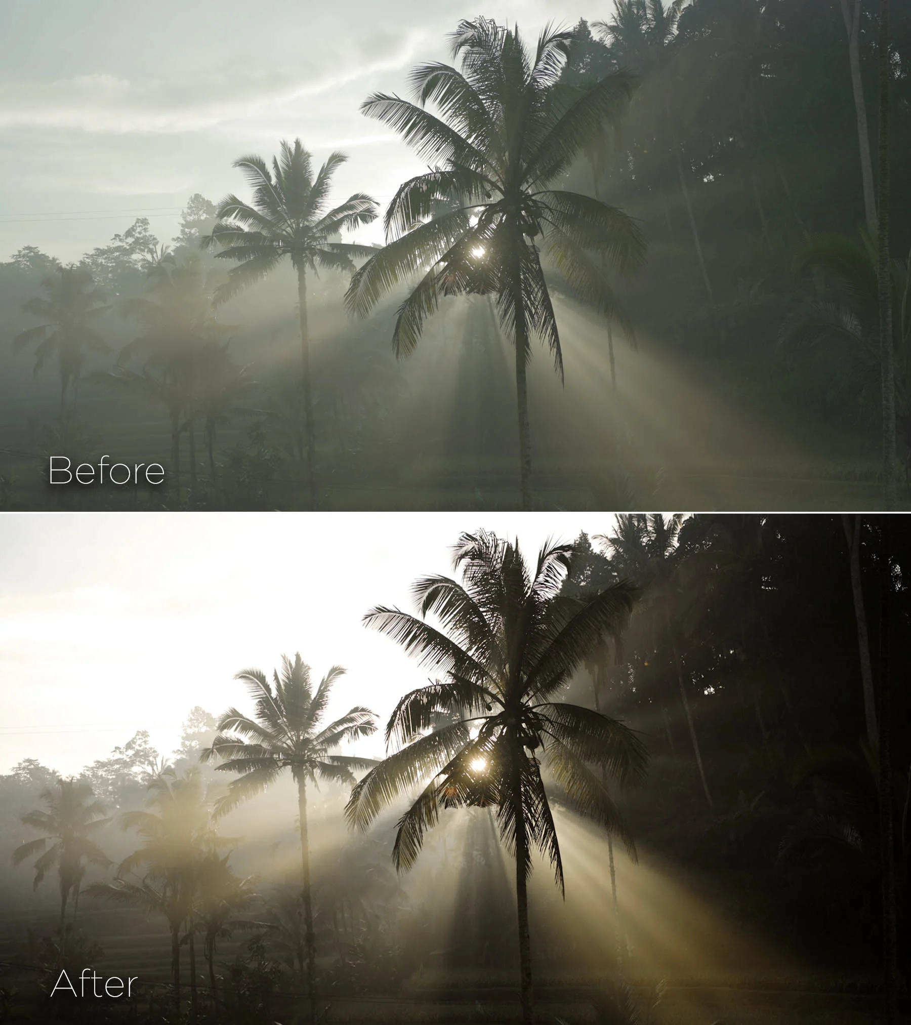 Pixelbae Master LUTs Collection ver 1