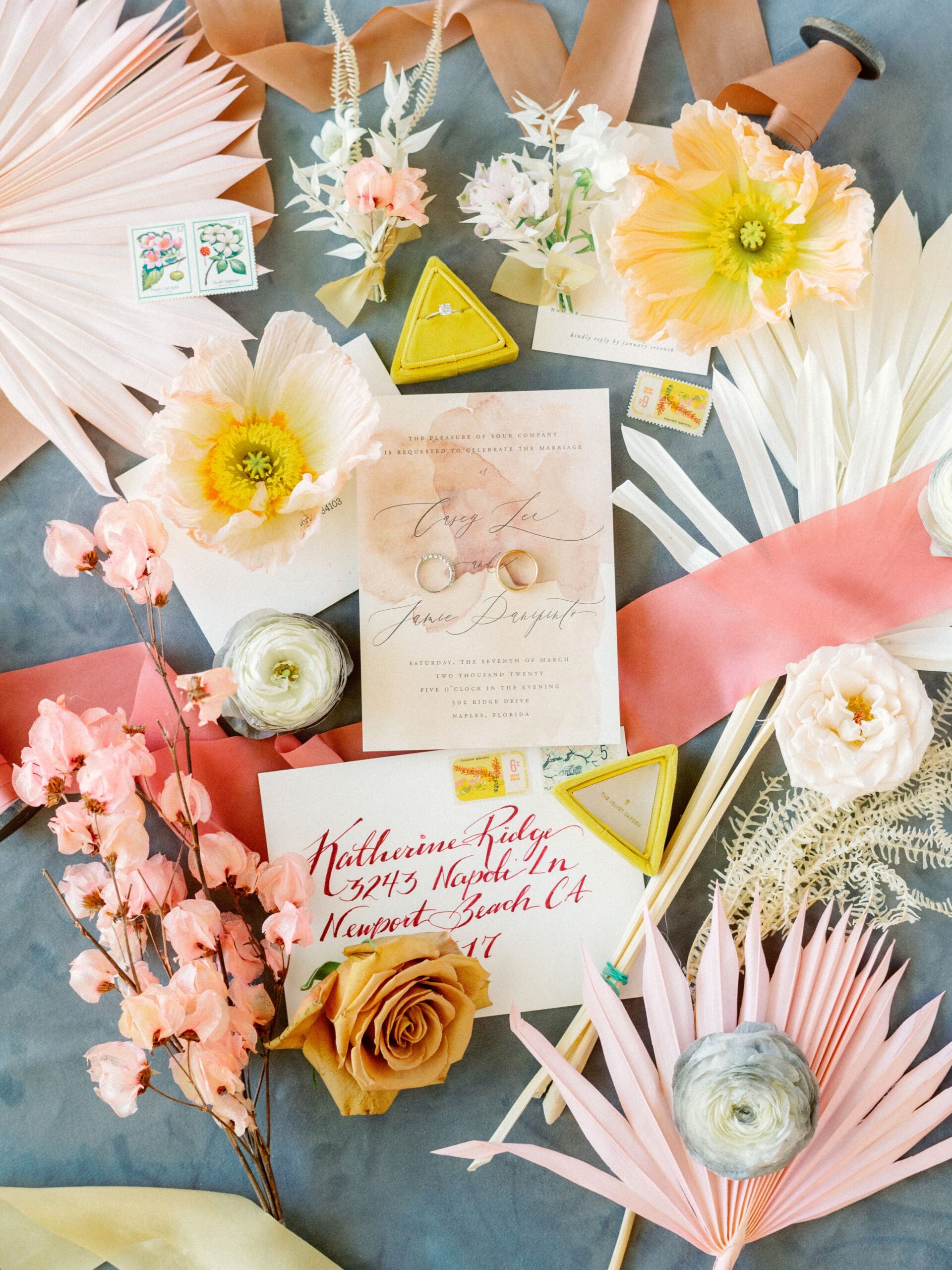 Goodlight Pack 3 Color