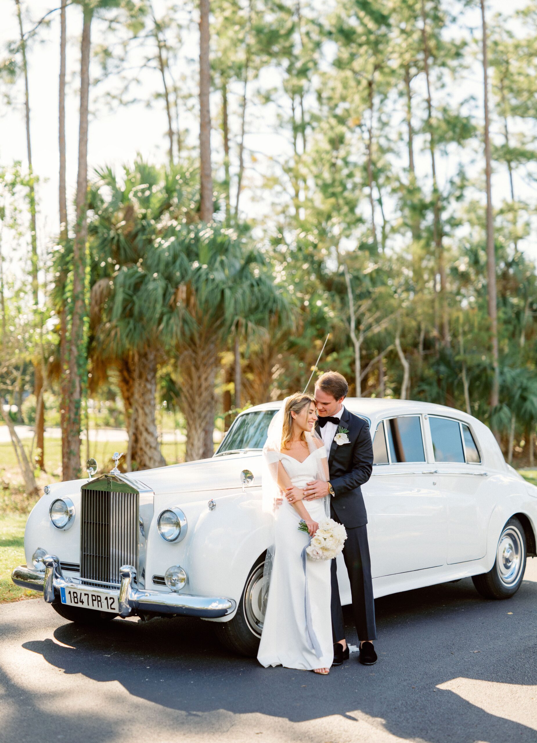 Goodlight Pack 3 Color