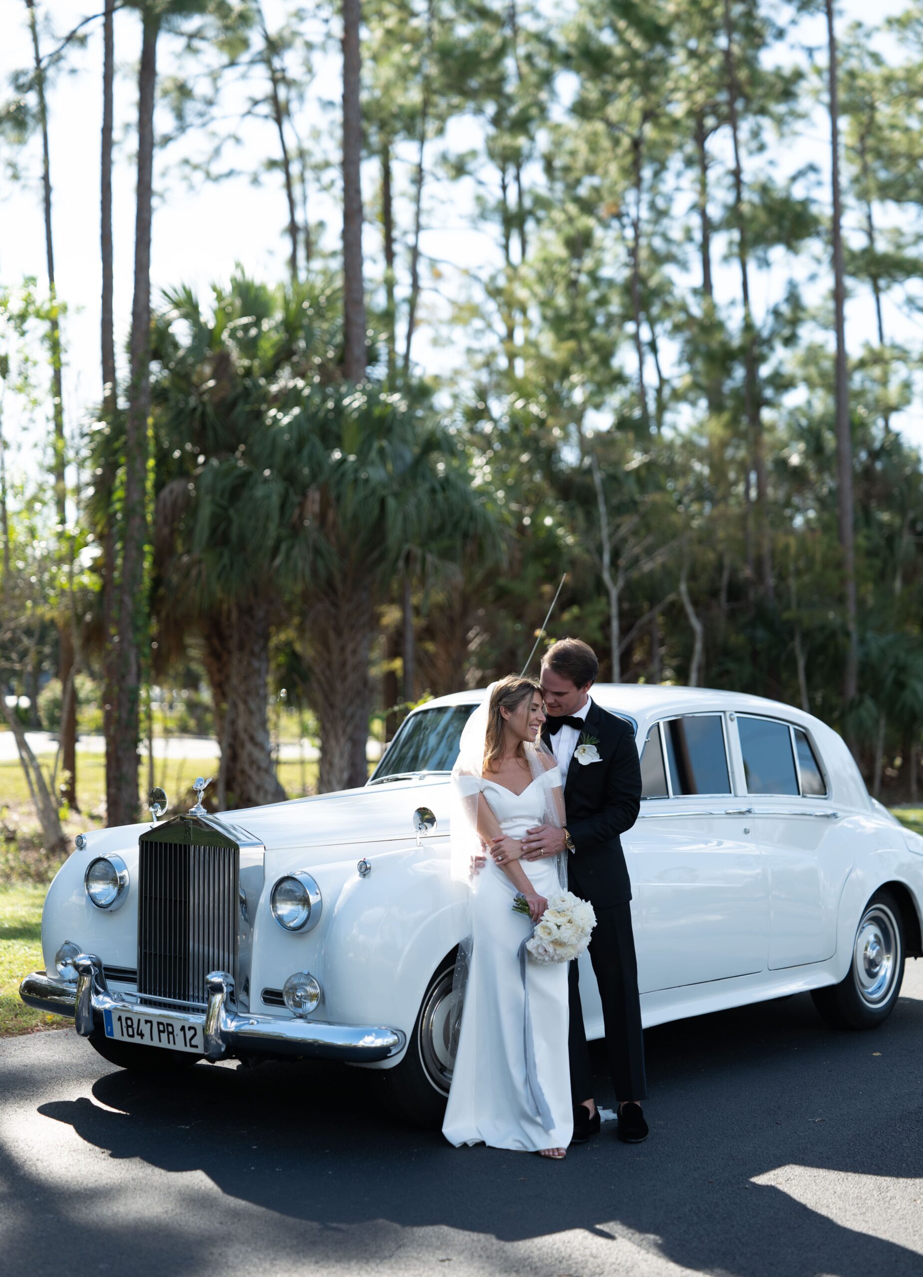 Goodlight Pack 3 Color