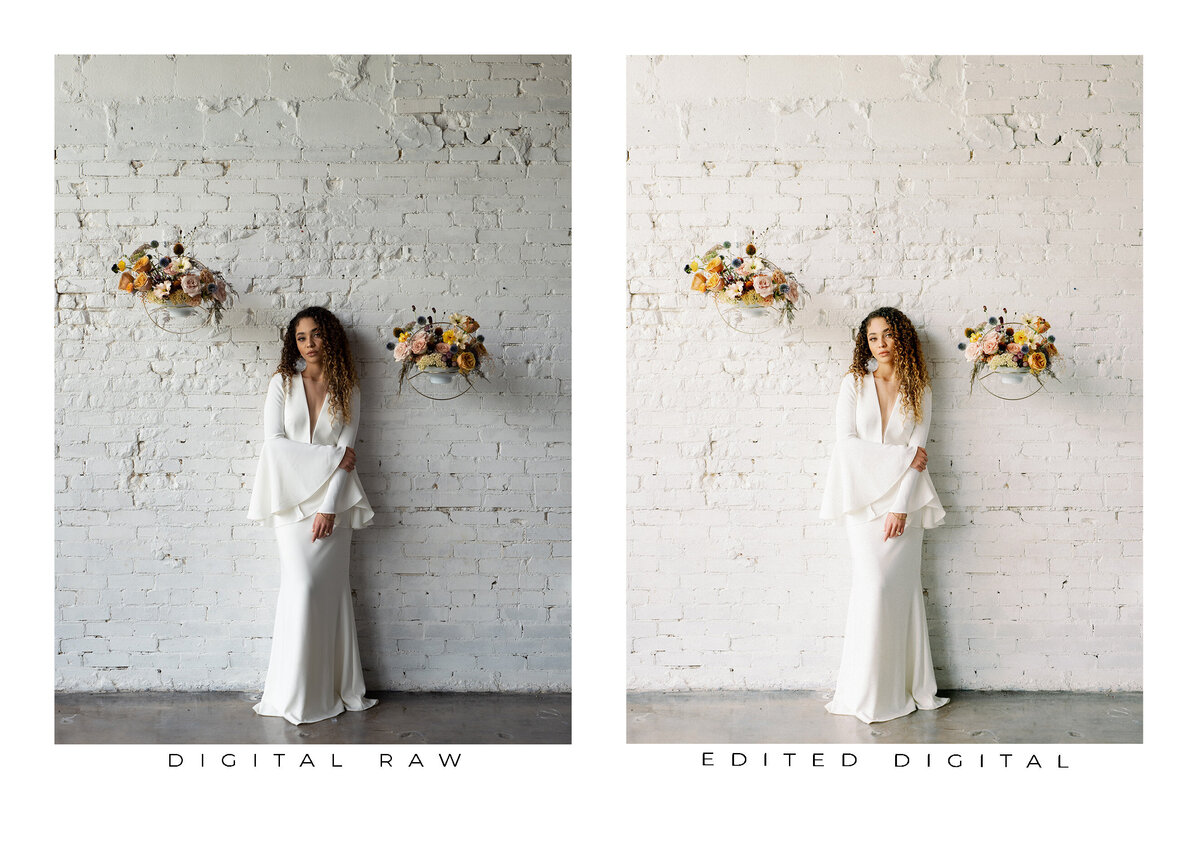 Goodlight Pack 3 Color