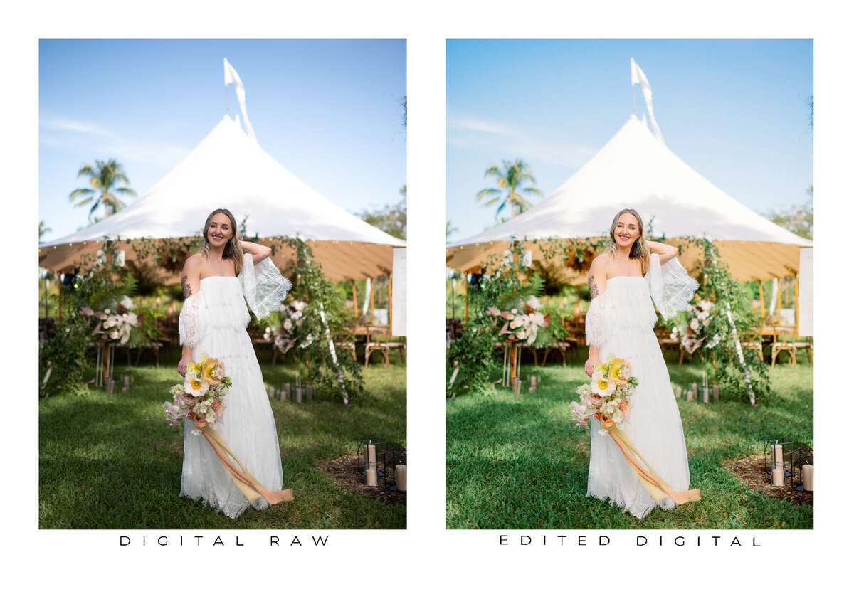 Goodlight Pack 3 Color