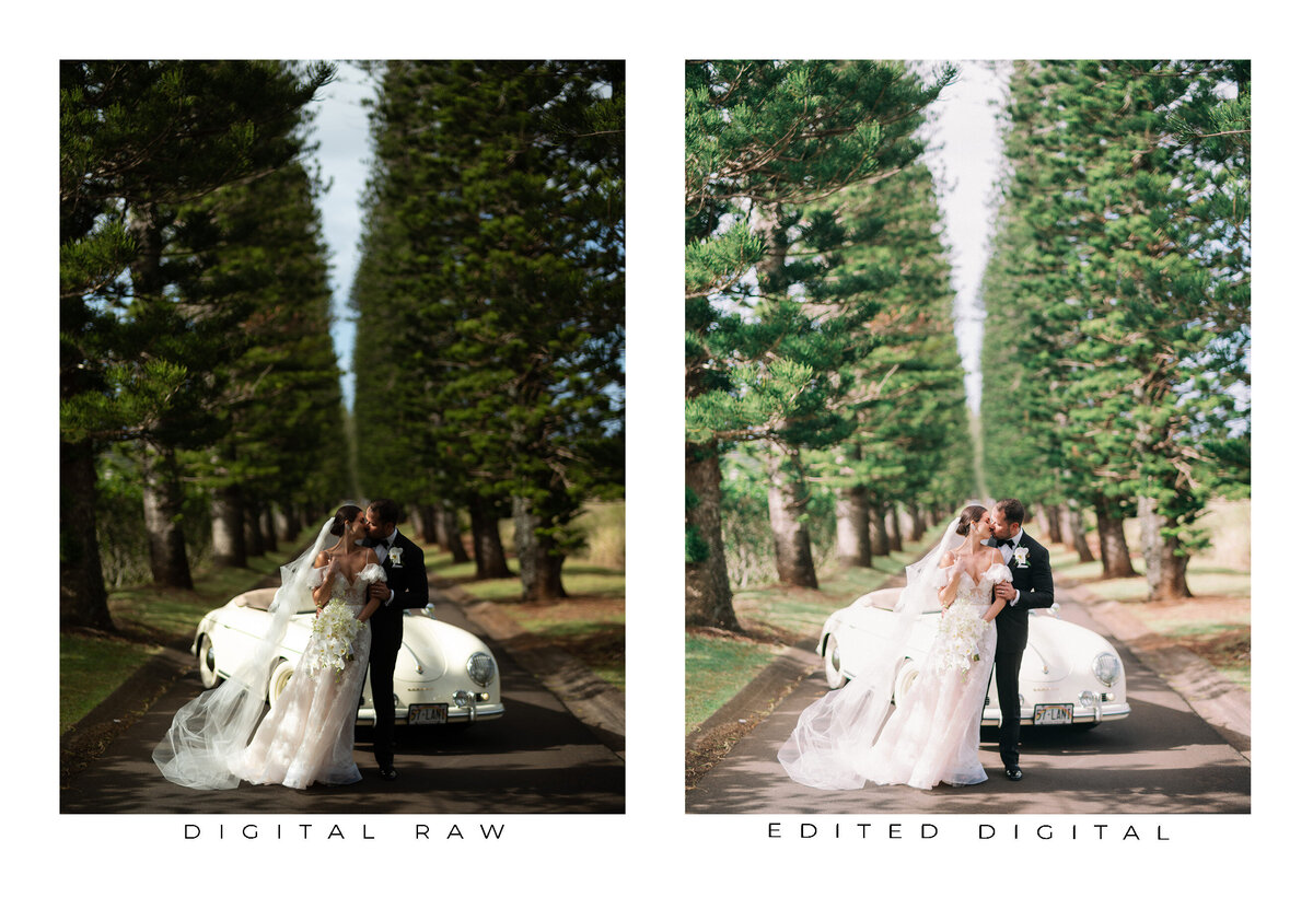 Goodlight Pack 3 Color