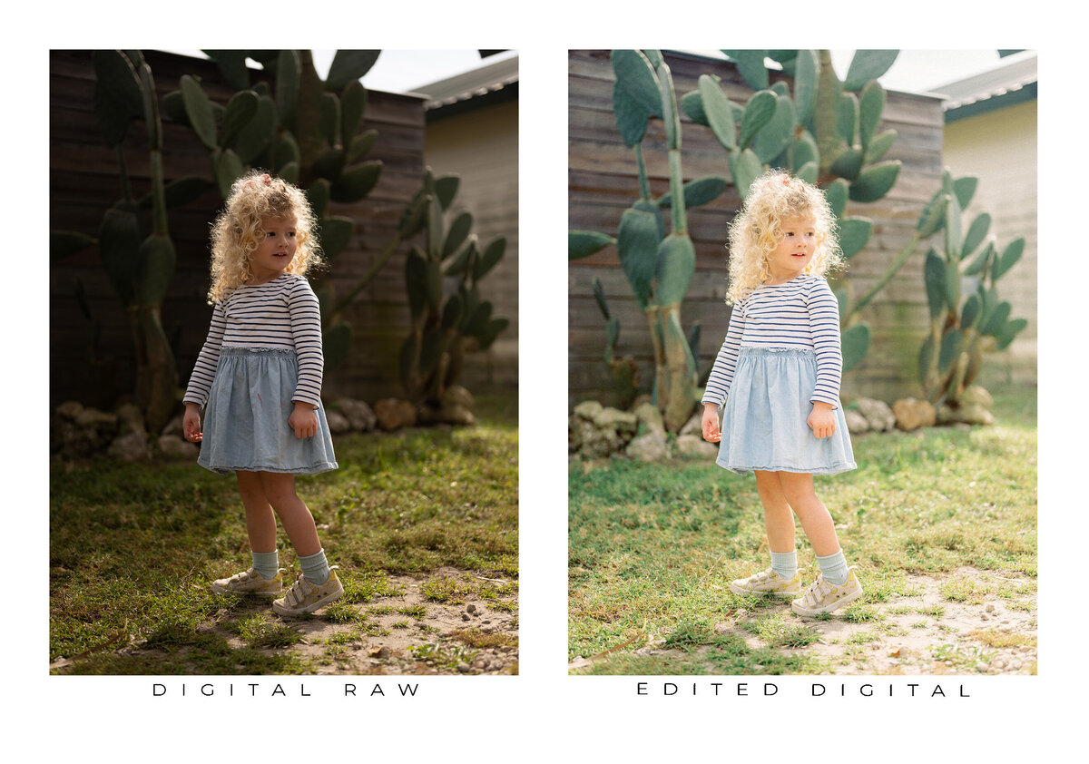 Goodlight Pack 3 Color