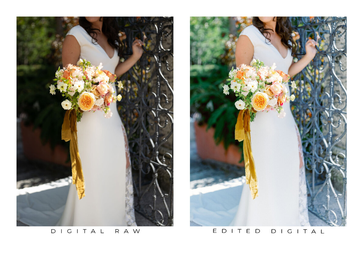 Goodlight Pack 3 Color