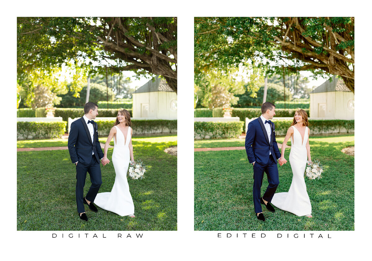 Goodlight Pack 3 Color