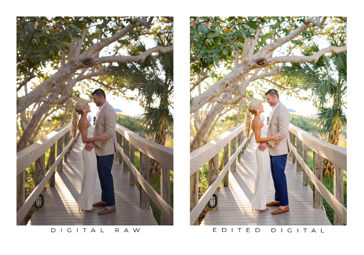 Goodlight Pack 3 Color