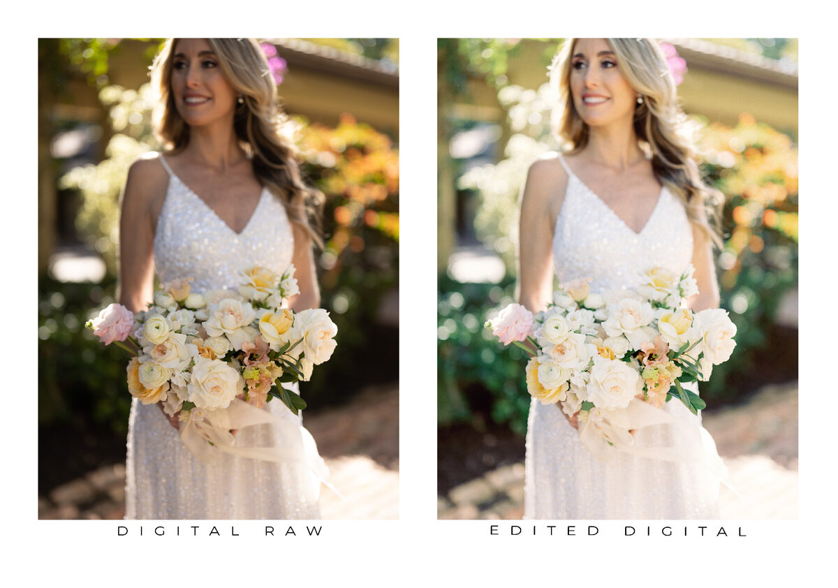 Goodlight Pack 3 Color