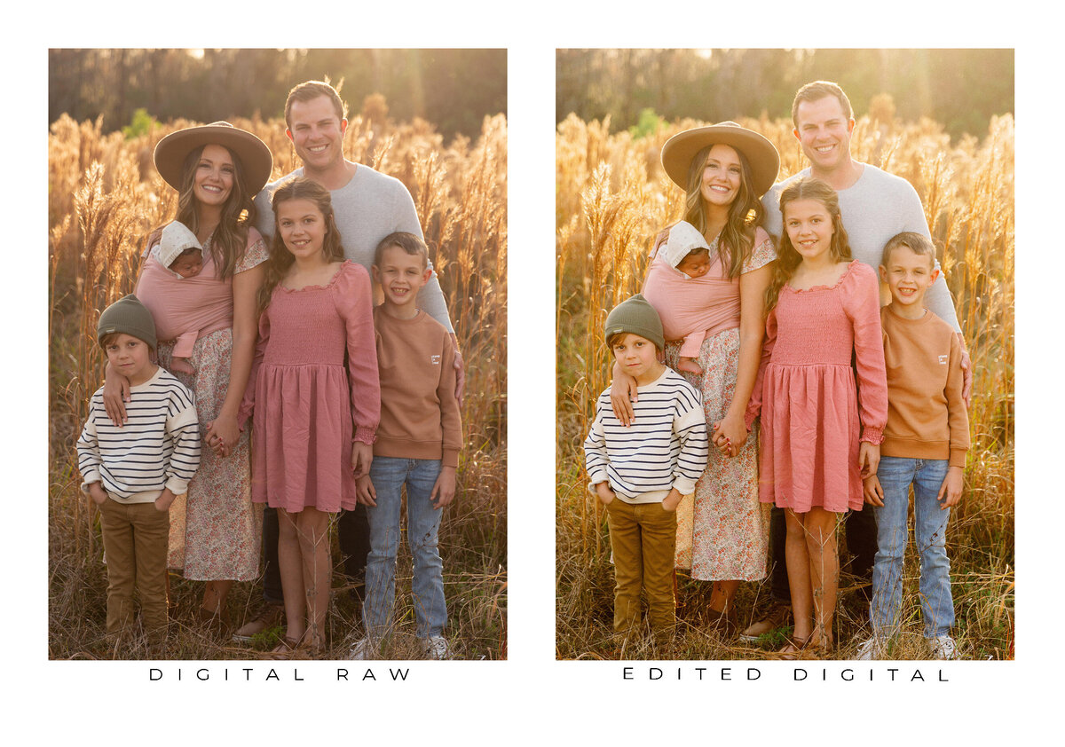 Goodlight Pack 3 Color