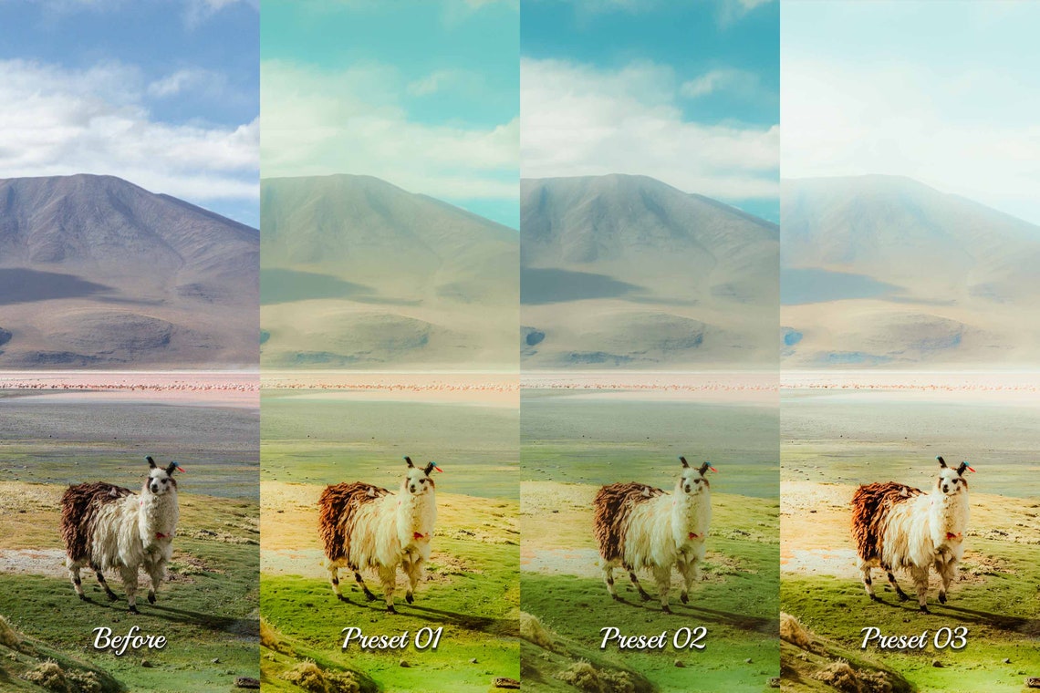 30 Eden Lightroom Presets Desktop and Mobile