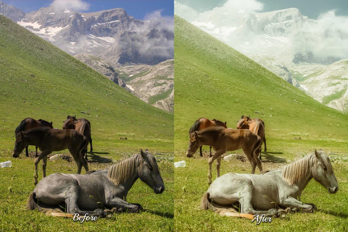 30 Village LUT Collection