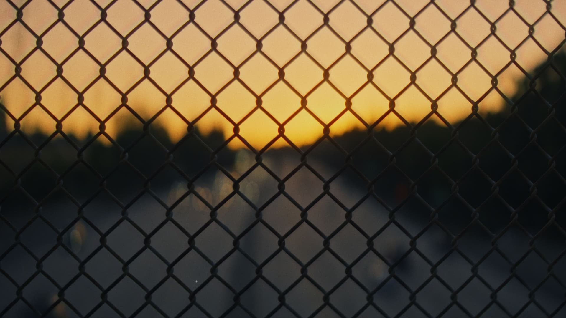 CINEVISTA Film Emulation Powergrades and Lut Pack (15)