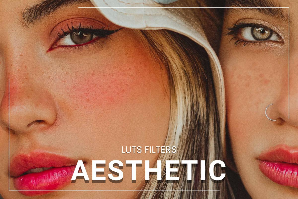 30 Aesthetic LUT Collection