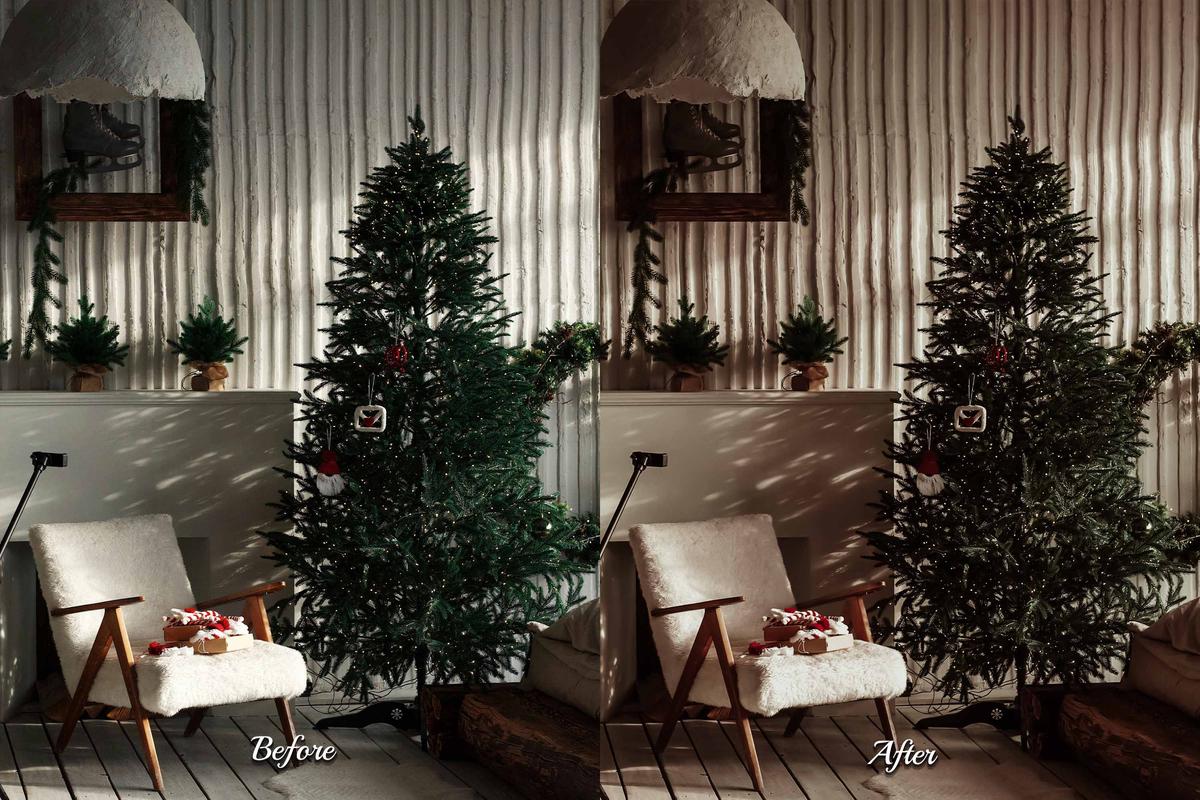 30 Ginger Lightroom Bundle