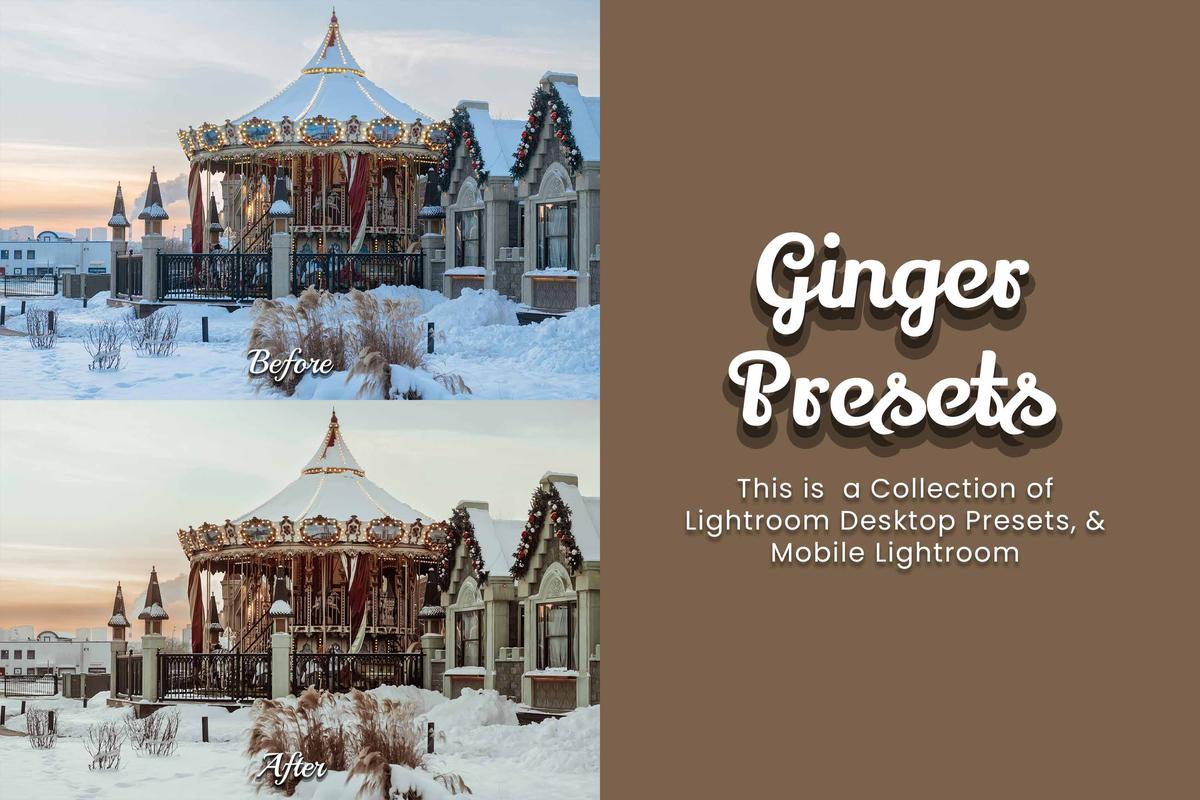 30 Ginger Lightroom Bundle