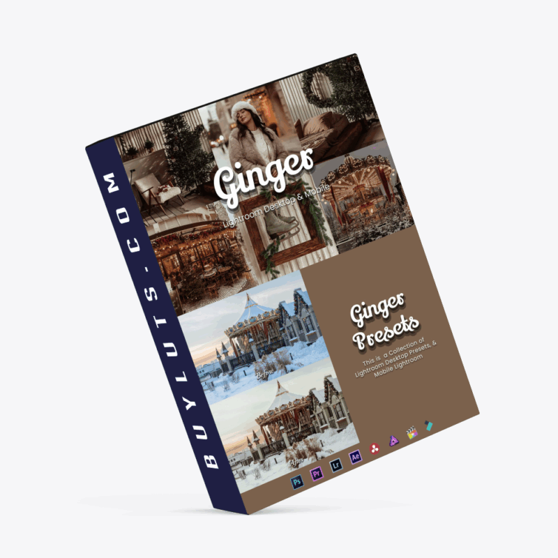 30 Ginger Lightroom Bundle