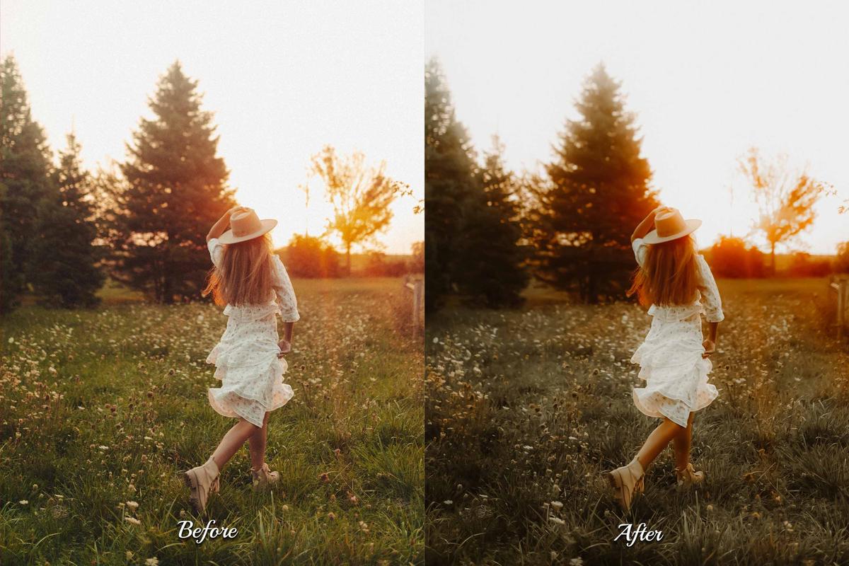 30 Golden Fall LUT Collection