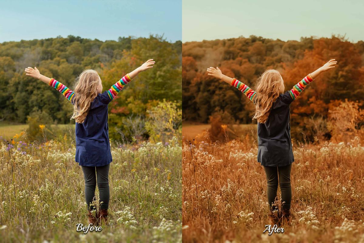 30 Golden Fall LUT Collection