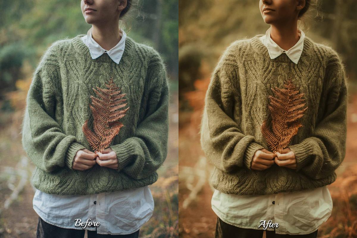 30 Golden Fall LUT Collection