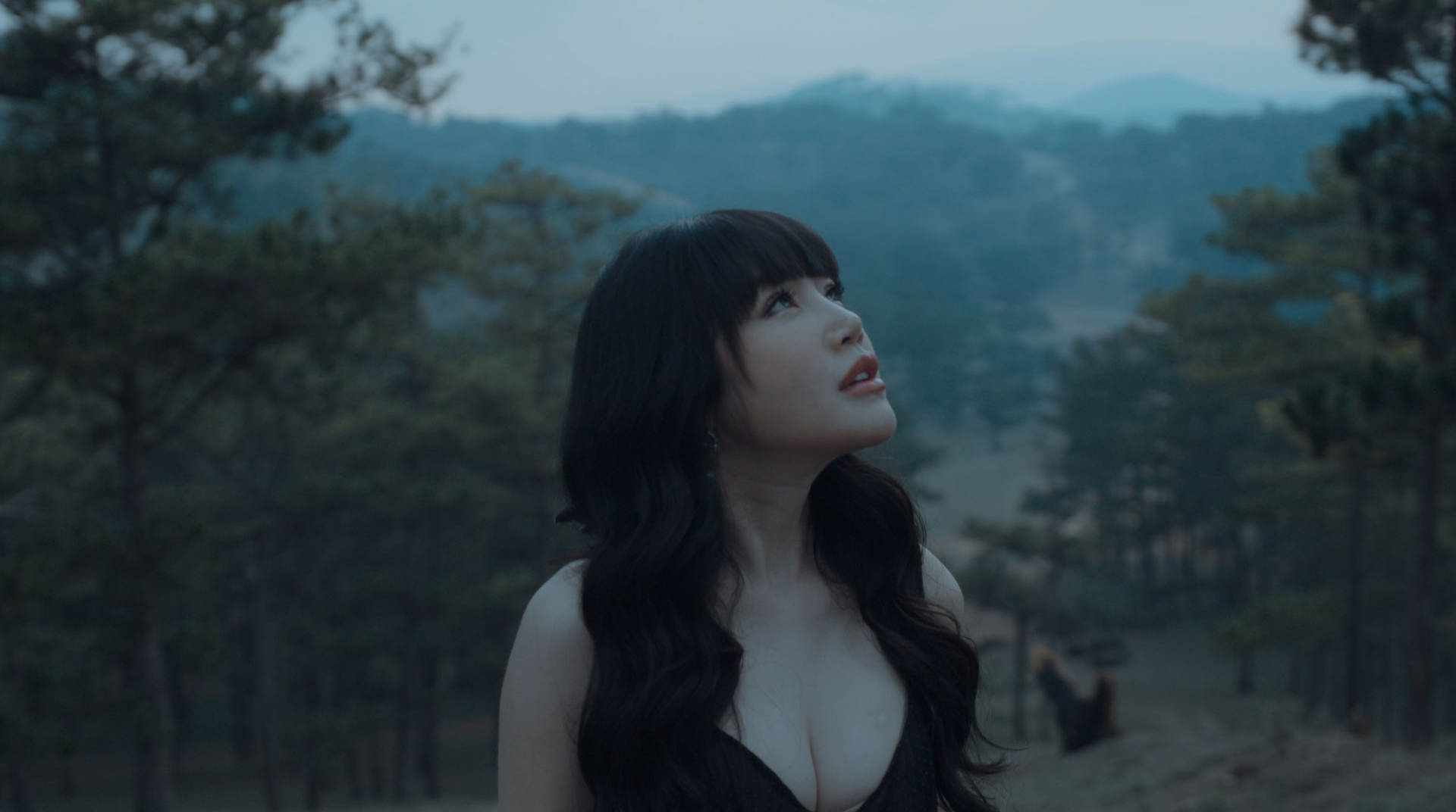 Combo LUTs Collection Pack